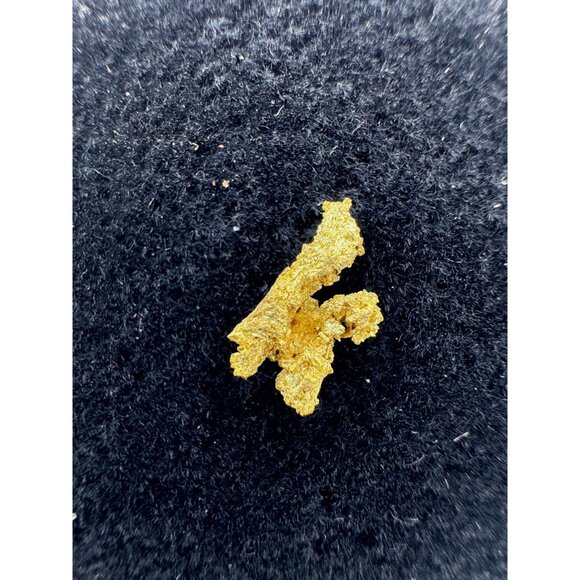 California Native Gold Crystal - 0.40 grams - Picture 7 of 9